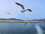 大海风光