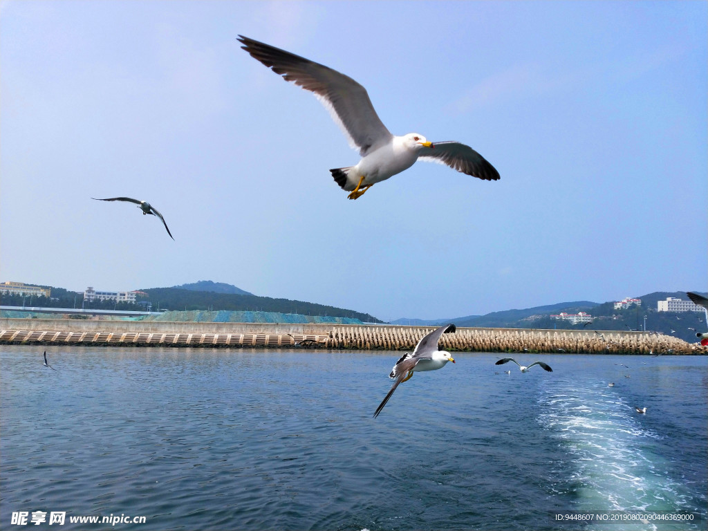 大海风光