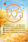 二十四节气之秋分海报