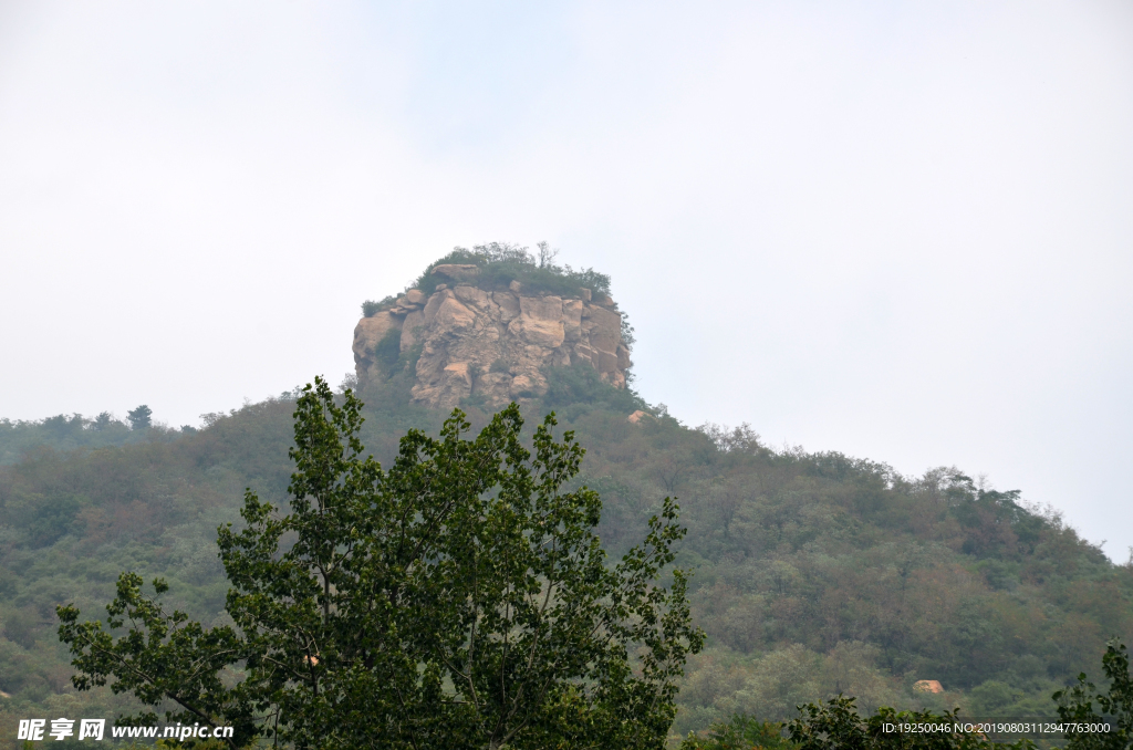 风景