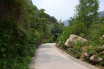 公路