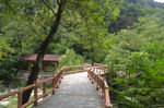 风景