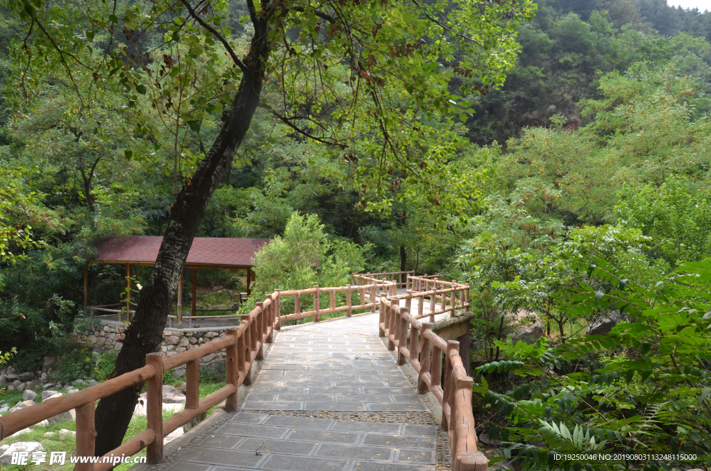 风景