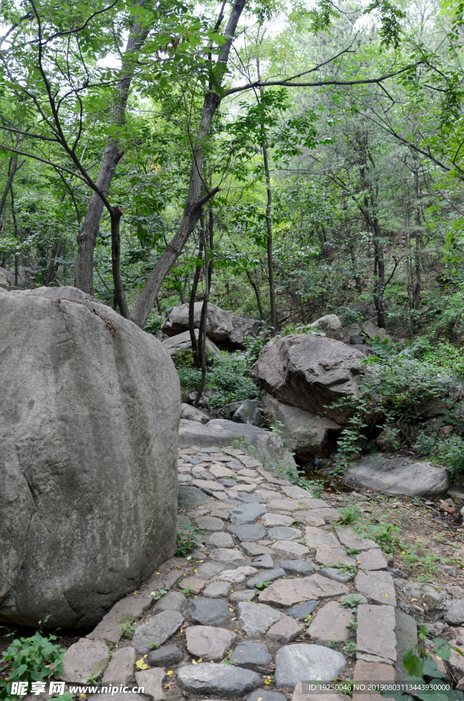 风景