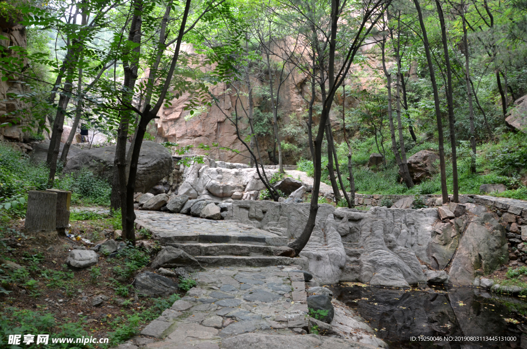 风景