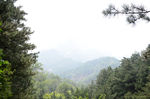 风景