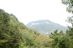 风景
