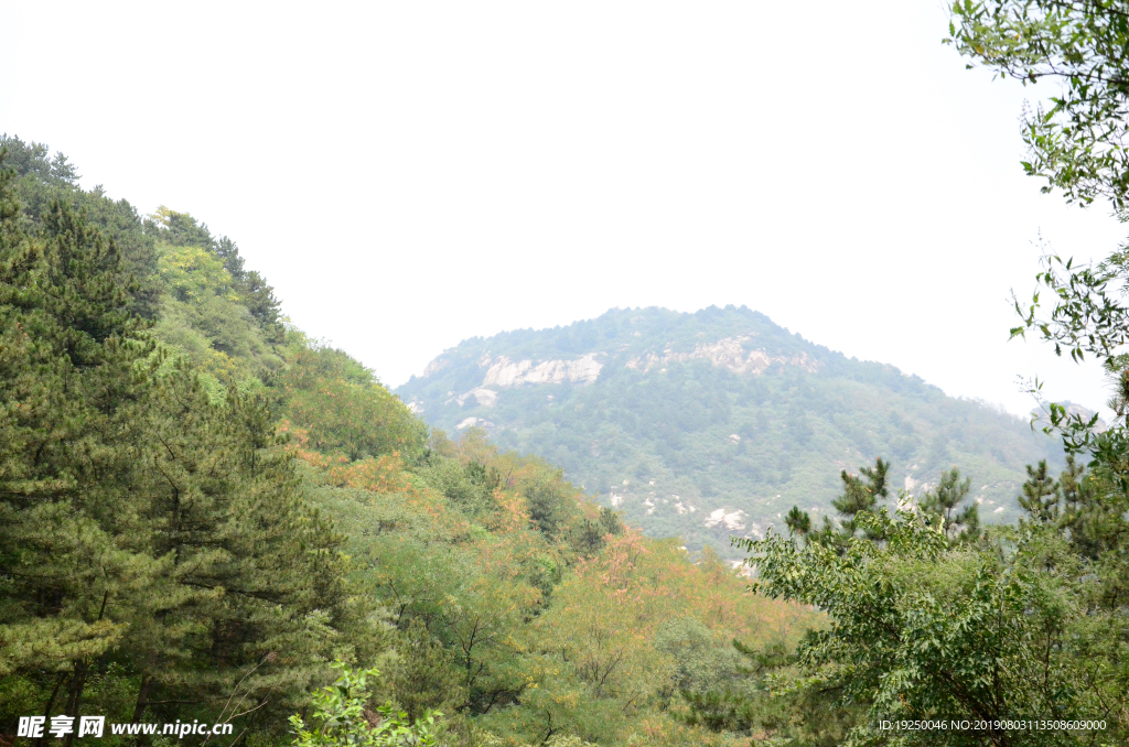 风景