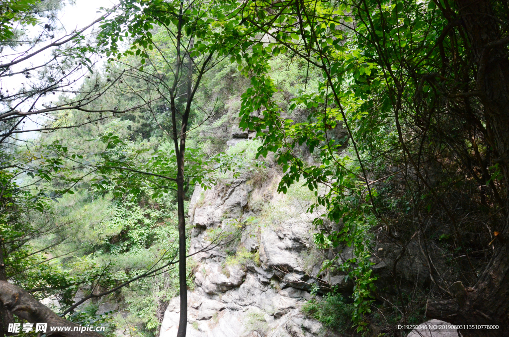 风景