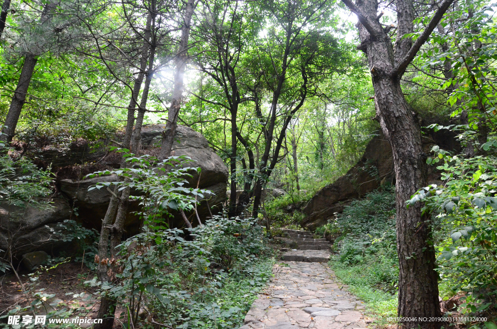 风景