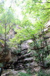风景