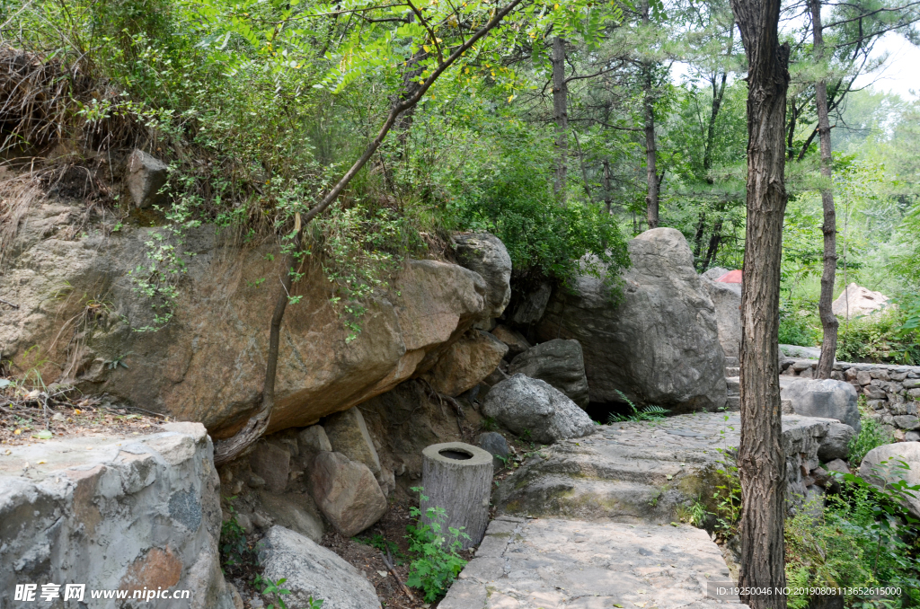 风景
