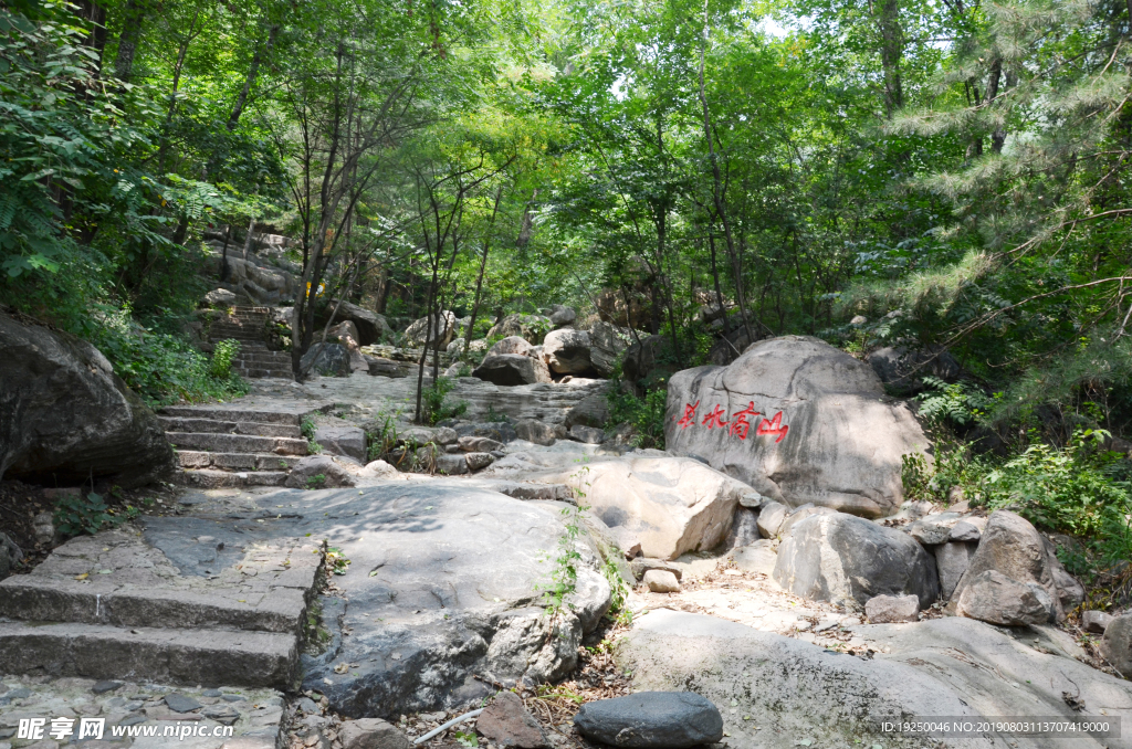 风景