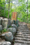 风景