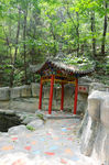 风景