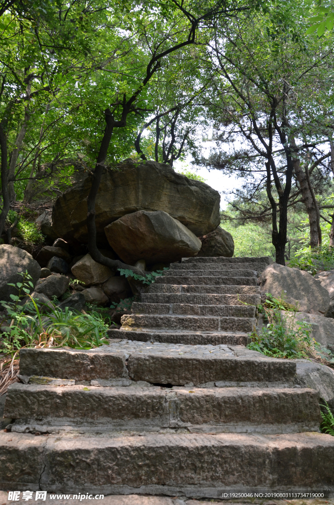 风景