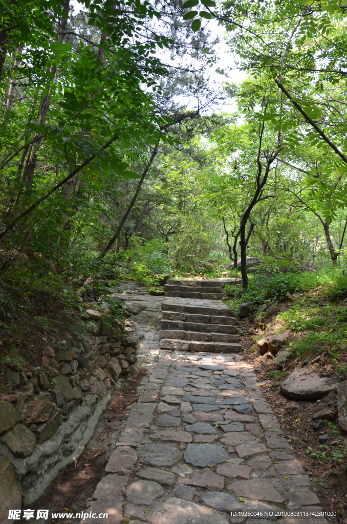 风景