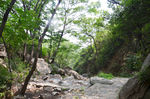 风景