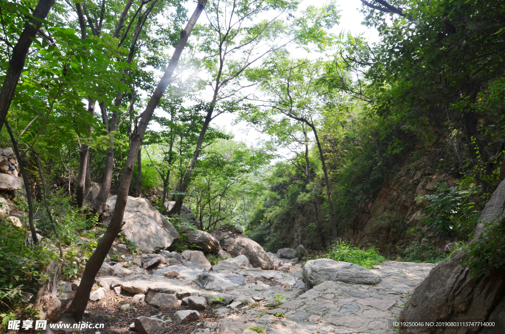 风景