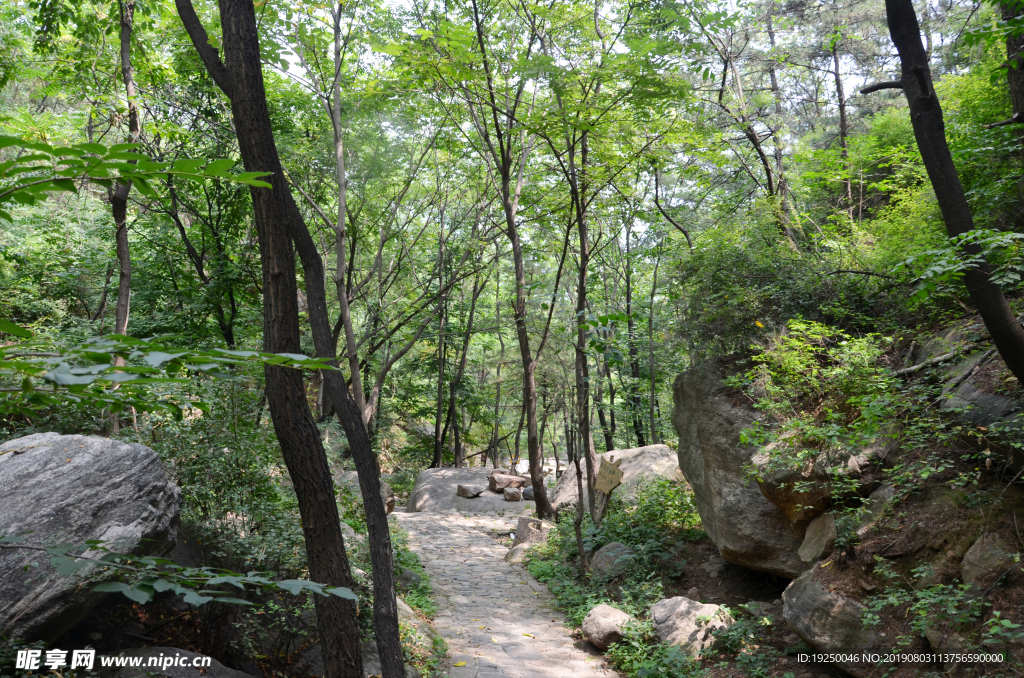 风景