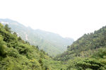 风景