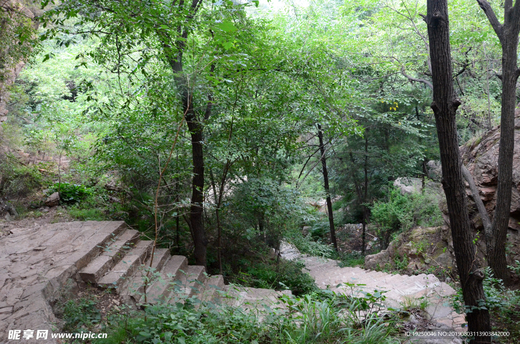 风景