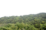 风景