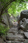 风景