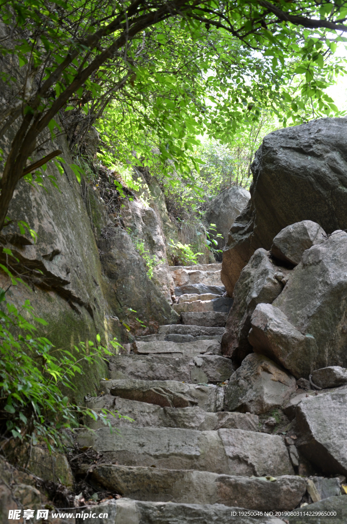 风景