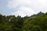 风景