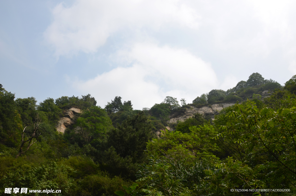 风景