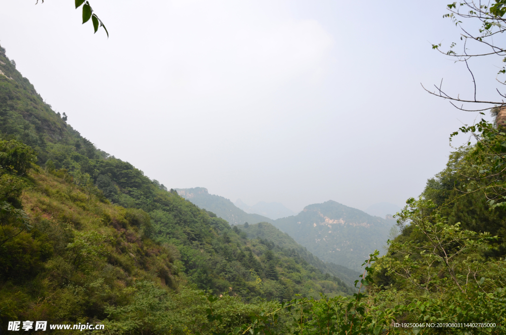 风景