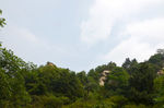 风景