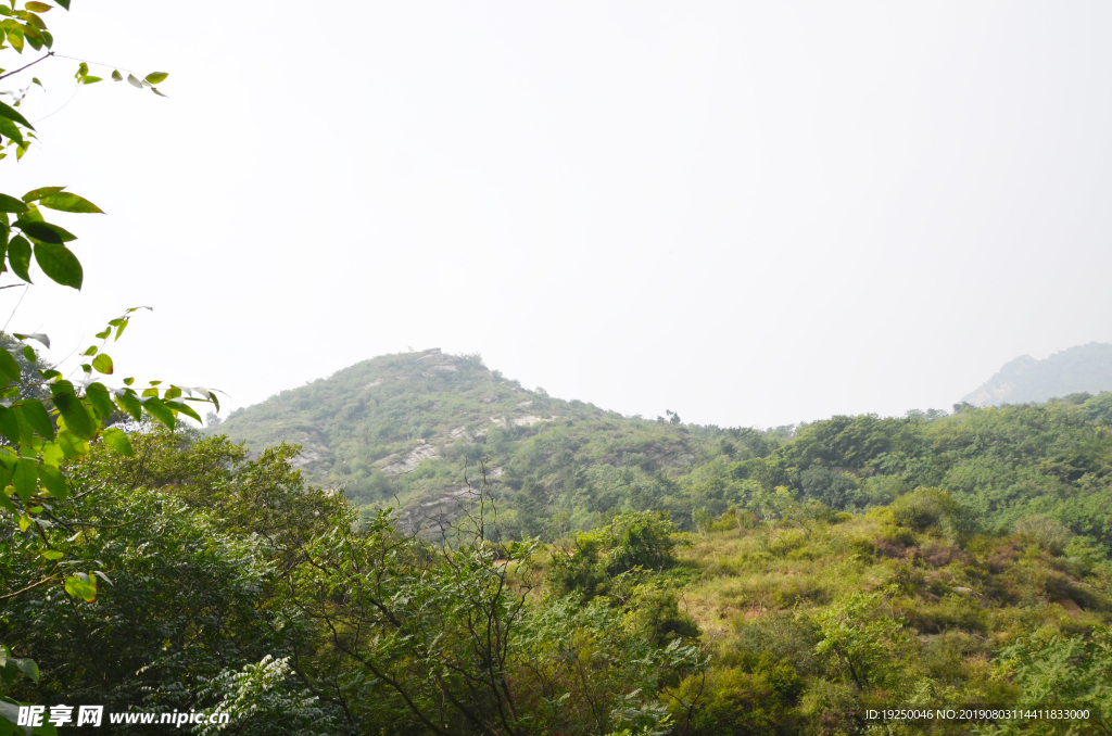 风景