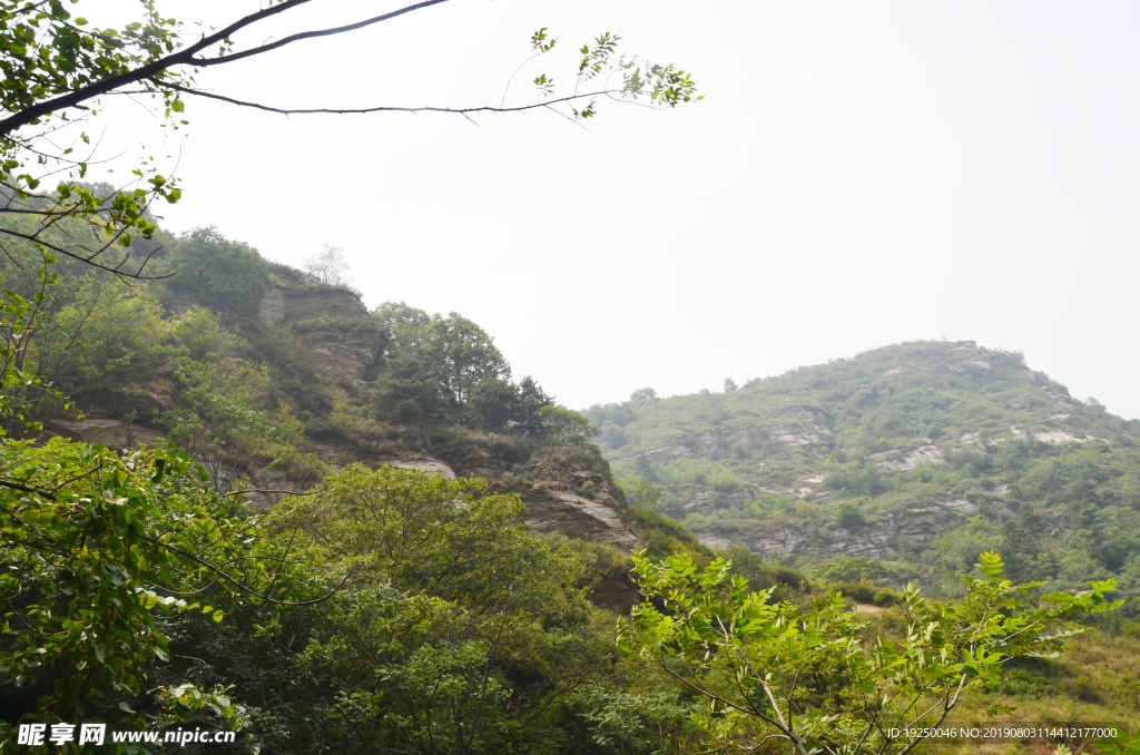 风景