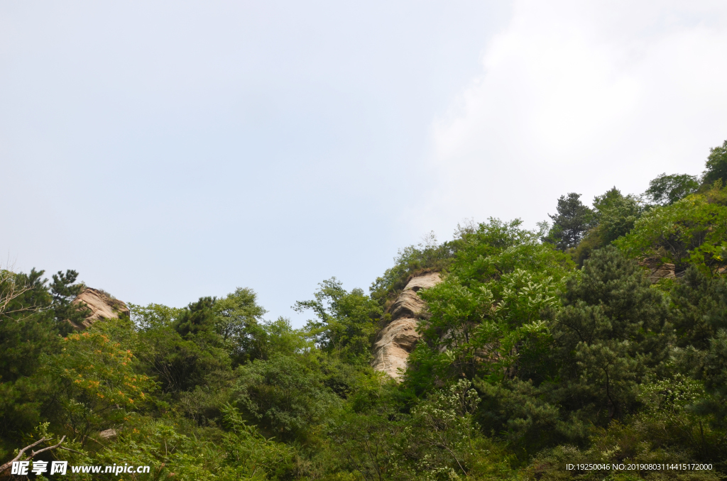 风景