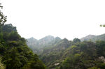 风景