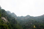 风景