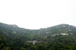 风景