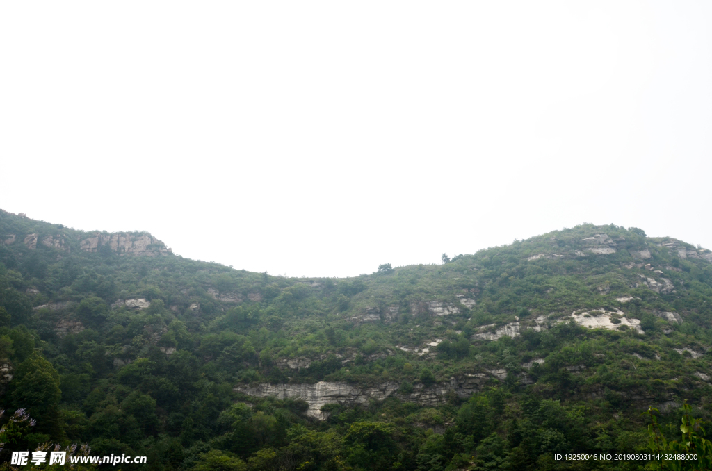 风景