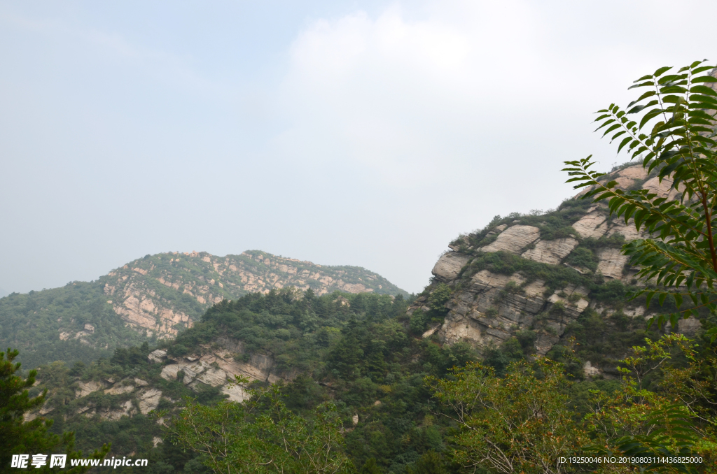 风景