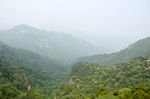 风景