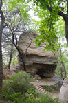 风景
