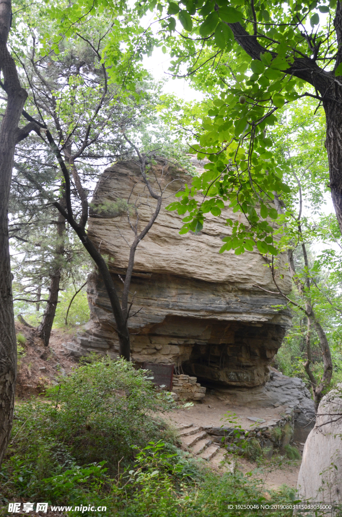 风景