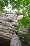 风景