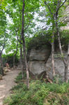 风景