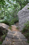 风景