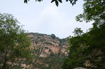 风景