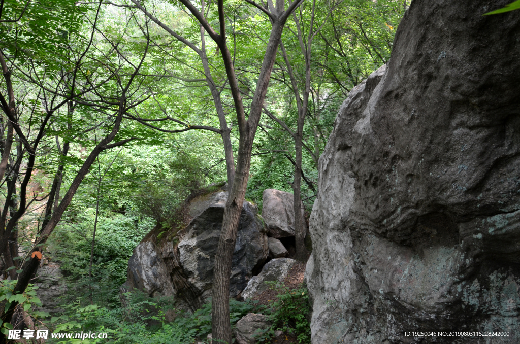 风景