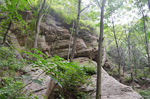 风景